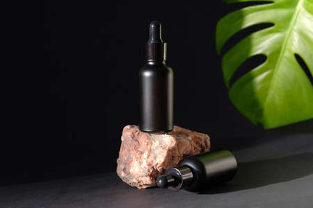 Black dropper bottles and tropical leaf on black background. SPA natural organic skin care lotions, luxury beauty product packaging mockupの写真素材