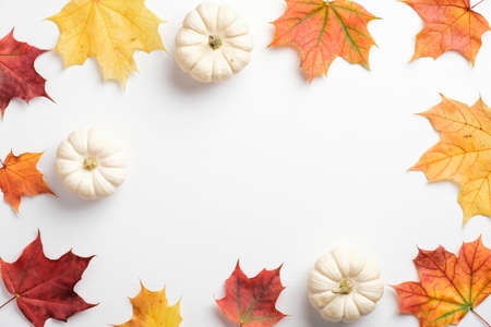 Autumn composition. Dried leaves and pumpkins on white background. Fall concept. Autumn background. Flat lay, top view, copy spaceの写真素材