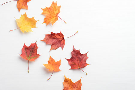 Autumn creative composition. Red and yellow maple leaves on white background. Flat lay, top view....