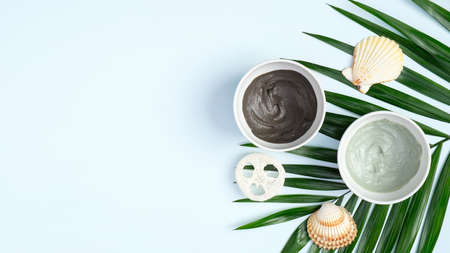 Clay face masks in bowls with tropical palm leaf on pastel blue background. Natural organic SPA beauty products, facial skin care concept.の写真素材