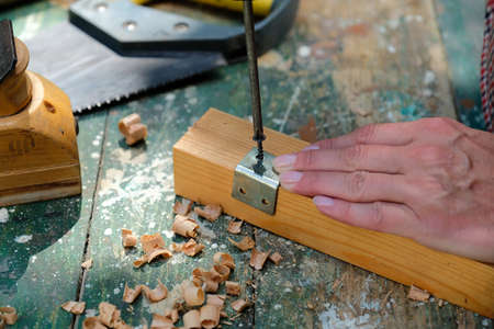 Craftswoman repair wooden furniture, screwing bracket to table leg. Woodwork concept.の写真素材