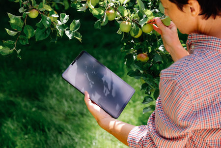 Female farmer inspecting trees in orchard and using tablet computer. Agriculture innovative...