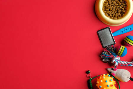 Pet care and training concept. Bowl with food for cat or dog and accessories on red background.の写真素材