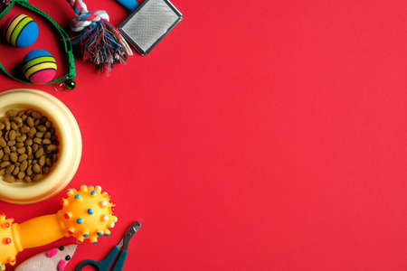 Pet store banner mockup. Flat lay accessories for cat and dog and dry food in bowl on red background. Pet care and training conceptの写真素材