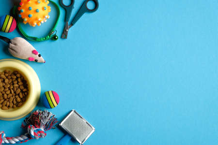 Pet care and training concept. Flat lay accessories for cat and god with bowl of dry food on blue background. Top view.の写真素材