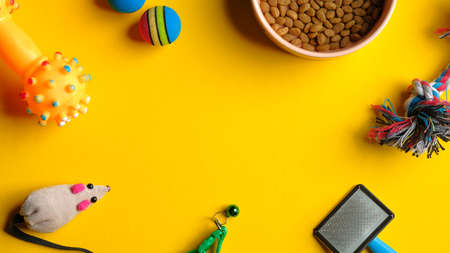 Pet care and training concept. Top view bowl of dry food and accessories for cat and dog on yellow background.の写真素材