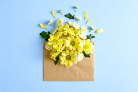 Open paper envelope with yellow spring flowers on blue background. Floral flat lay compoisition. Romantic letter, gift, love concept.の写真素材