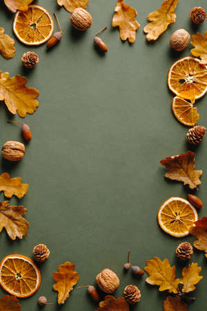Frame made of oranges, dry oak leaves, nuts, acorns on vintgae green background. Autumn fall, Thanksgiving concept.の写真素材