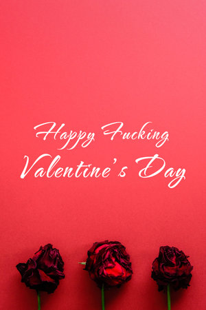 Happy Fucking Valentines Day card. Withered roses buds with text on red background.