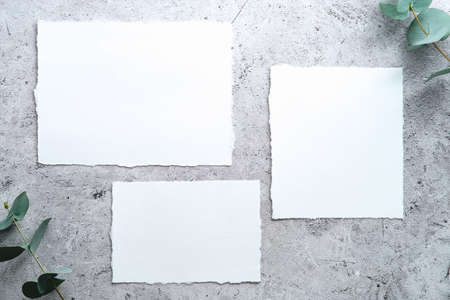 Wedding stationery set. Blank wedding invitations on concrete table with eucalyptus branches.の写真素材