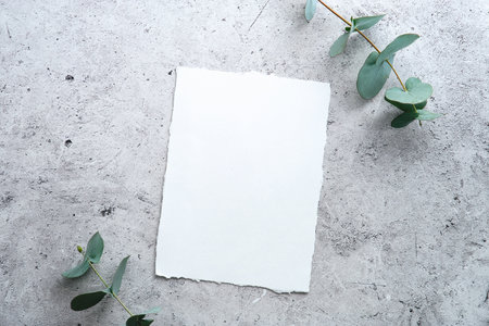 Blank paper card wedding invitation mockup with eucalyptus branches on concrete table.の写真素材