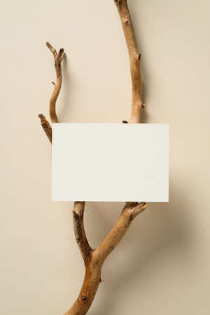 Blank greeting card mockup on wooden branch on beige background. Flat lay, top view, copy space.の写真素材