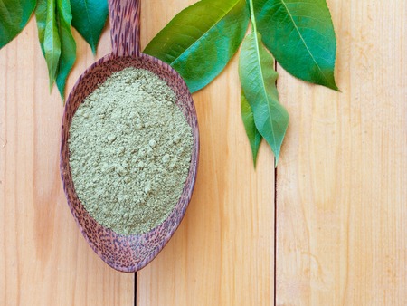 Henna powder in the coconut spoon and green leavesの写真素材