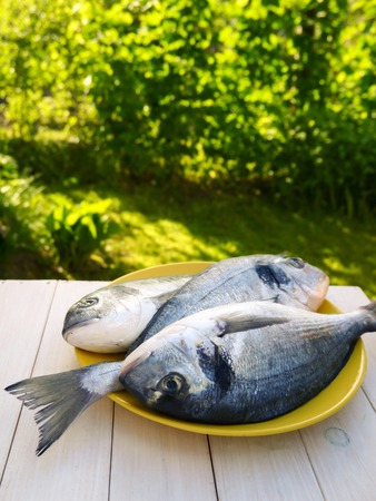 Three dorado fishes on the white wooden table on the sunny garden backgroundの写真素材