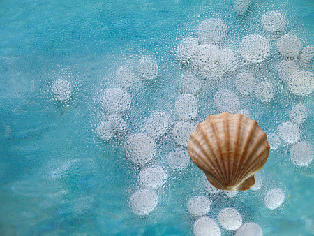Shell and white stones under the misted glassの写真素材