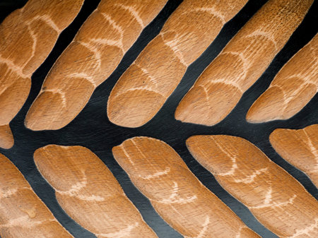 Bottom of dark coconut wooden carved bowl