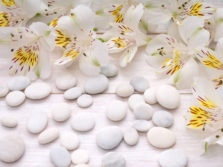 Tender alstroemeria flowers and white pebble on the wooden planks