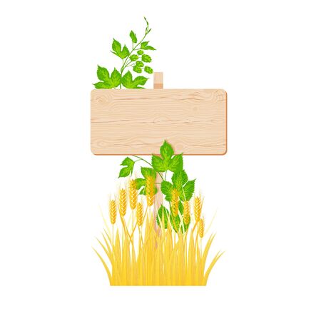Wooden rectangular signboard with knots and cracks, hop branch and barley illustration.のイラスト素材