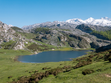 View from above to the Ercina mountain lake near Covadonga, Asturias, Spain. Spring in the mountains and snow peaks.の写真素材