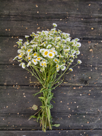 Daisy white yellow-eye flowers bouquet on the old dark weathered wooden planksの写真素材