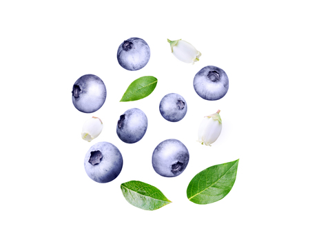 Flying blueberry swirl. Ripe and juicy purple berries, fresh leaves and white flowers isolated on white.の写真素材