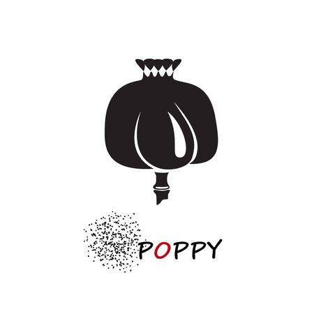 Poppy head and seeds vector illustration. Papaver somniferum Ñapsule silhouette.のイラスト素材