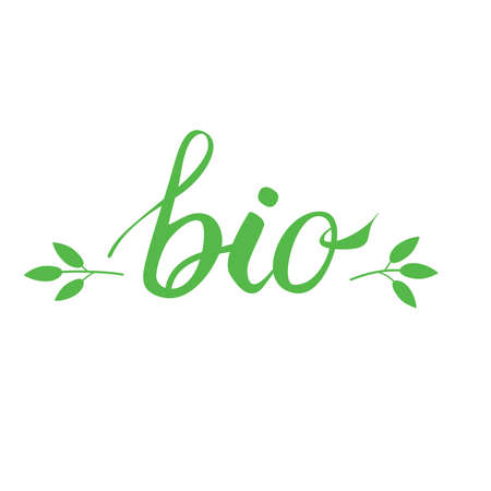Bio hand drawn lettering and two green branches vector illustration. Ecological food label.のイラスト素材