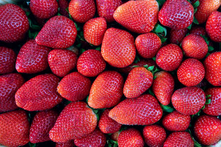 Ripe red strawberries. Season specific food. Fruits background.の写真素材