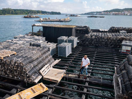 O GROVE, SPAIN - JULY 24, 2021:
Farmer demonstrates mussels to tourists at the molluscs farm platform in the Arousa estuary near O Grove,Pontevedra,Galicia, Spainのeditorial素材