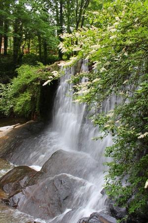 Waterfallの写真素材