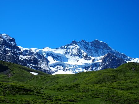 Alpine mountains range landscape near GRINDELWALD village in beauty Swiss ALPS in SWITZERLAND with snow covered peaks, grassy fields and clear blue sky in 2016 warm sunny summer day, Europe on July.の写真素材