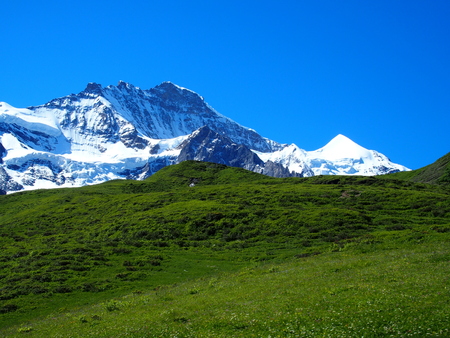 Alpine mountains range landscape near GRINDELWALD village in beauty Swiss ALPS in SWITZERLANDの写真素材