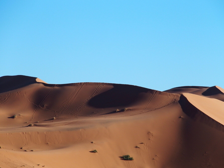 Erg Chebbi dunes range in Moroccoの写真素材