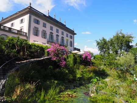 Beauty historical building and beauty purple flowers, exotic plants at Brissago island landscapes in Switzerland near swiss european Ascona city, clear blue sky in 2017 warm sunny summer day on July.の写真素材