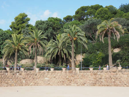 BARCELONA, SPAIN on SEPTEMBER 2019: Palm trees in park guell in european city at Catalonia district, clear blue sky in warm sunny summer day.のeditorial素材