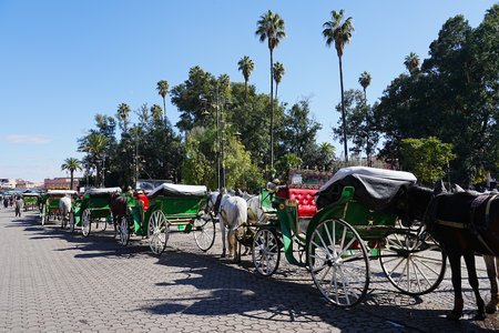 MARRAKESH, MOROCCO - JANUARY 28th 2023: Horse-drawn carriage at Jemaa el-Fnaa in African city, clear blue sky in warm sunny winter day.のeditorial素材