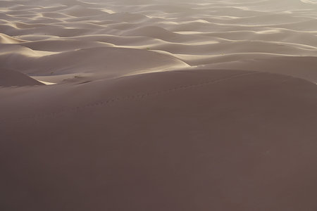 Sunrise at sand formations of Erg Chigaga dune at Sahara desert in African southeastern MOROCCO in...