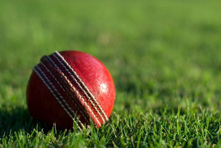 Close up of a side lit red cricket ball on the green grass of a sports field, with copyspace