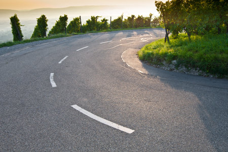 Bend on a road in a German vineyard
