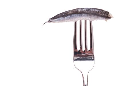 White isolated sardine on a forkの写真素材