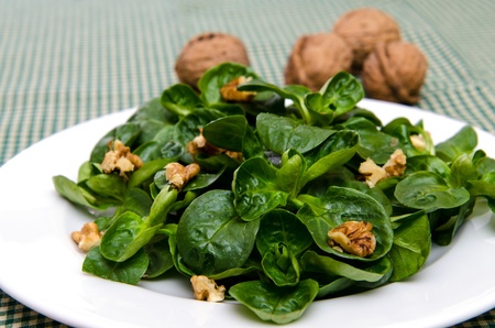 Plate with corn saladの写真素材