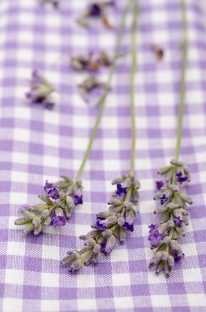 Close up of purple lavender in vertical formatの写真素材