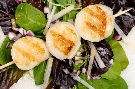 Wooden skewer with roasted mussels on a leaf salad with onions and radishの写真素材