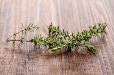 Green branches of thyme (Thymus vulgaris) on a brown wooden boardの写真素材