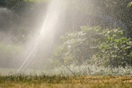 Ground sprinkler with impulse and water in the backlight of a meadowの写真素材