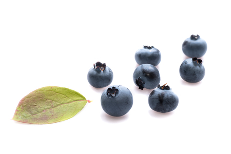 Blue Blueberries with green leaf white isolatedの写真素材
