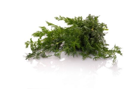Dill green herbs focus stacking white isolatedの写真素材