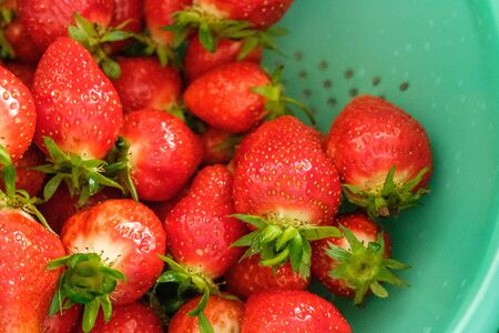 Red strawberries with green leavesの写真素材