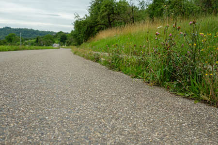 Road with blooming flowers at the sidewalkの写真素材