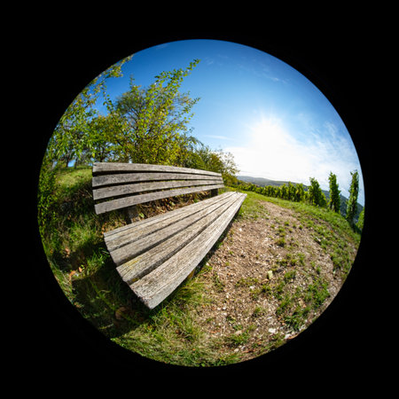 Wooden weathered bench with blue sky and sun an fish eye shot